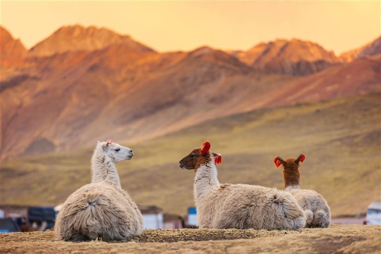 Südamerika - von Machu Picchu zum Zuckerhut ©Galyna Andrushko/adobestock